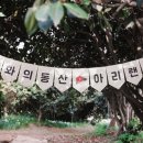 아리랜드