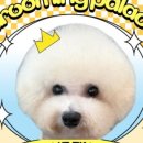 멍팰리스 이미지