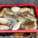 축항대로166번길 이미지