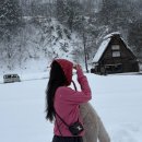 역삼-1333 이미지