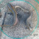 노지하우스 이미지