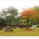 강변통나무펜션 이미지