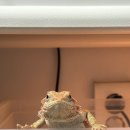 작은 동물원 이미지