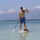 펫 프렌들리 호텔 이미지