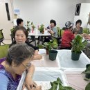 어르신 원예활동 | 북가좌노인복지관 힐링 가드닝 클래스 🌱 어르신 원예치료 프로그램 후기