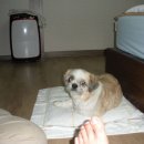 동찬농장 이미지