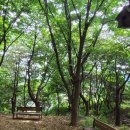 진영공원 이미지