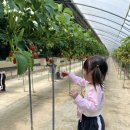 가풍농장 이미지