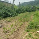 금곡농장 이미지