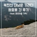 성문모터스 | 주말의 힐링, 대남문 코스 가려다 북한산 원효봉 코스 간 등산 후기 (feat. 댕냥이들 가득!)