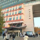 홍익대학교 티스토리