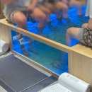 랜드스타부산 | 부산 찜질방 센텀 스파랜드 가격 할인 시설 식당 위치 꿀팁