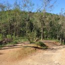 김재로묘 이미지