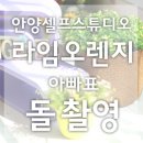 탑셀프라임