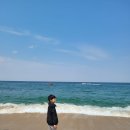세정태권도장 | 유아세탁세제 아토팜 만족해요!