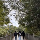 대수길31 이미지