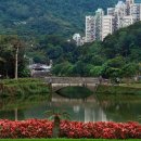 남강공원 Daum카페