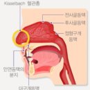 서훈태한의원 네이버블로그