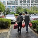 사월동 지석묘군 이미지