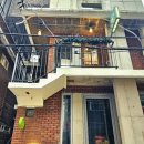 마방로4길 6 (1) | 서울 성동구 왕십리로4길 성수, 뚝섬 퓨전한식 파스타맛집 성수온실 성수본점 다녀 온 후기