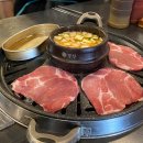 엉터리생고기양정점 이미지