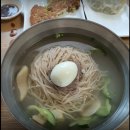 하영경 | 생활의 달인 일산 평양냉면 달인 은둔식당 대동관 위치