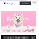 솔푸른향기애견 이미지