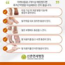 족저근막염 증상 및 자가치료 발뒤꿈치 통증 원인 이미지