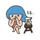 예스예스애견 이미지