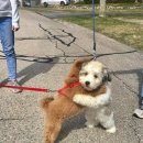 강화도서관 이미지