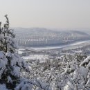 화봉산 네이버블로그