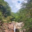 1월 정기산행 설악산 흘림골 이미지