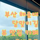 [부산해운대달맞이길 커피] 오션뷰 미디어아트카페 드바르트 방문후기