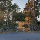 상예1마을회관 | [임장 후기] 서귀포시 상예동 (+ 상예1마을회관 앞 토지, 2억, 대지 75평)