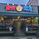 꼽슬돼지 네이버블로그