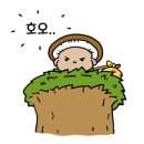 호박성인나이트 - 용인시 처인구 백옥대로 1112 | 호박성인나이트