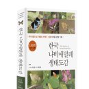 한국나비