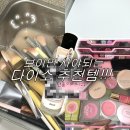 이천메디칼약국 | 왜 단종이죠? 다이소 브러시 &amp; 퍼프 클리너 제발 돌려주세요 (+화장품 정리함 추천)