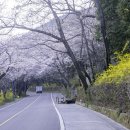 조각공원길 이미지