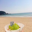 부산화소반 이미지