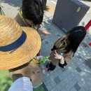 2026 전국제 후기 (근데 이제 지프지기를 곁들인) [2][완]