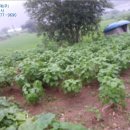 늘목리 진료소 이미지