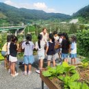 달욱농장 충청타임즈
