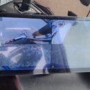 백화스포츠 이미지