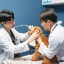 하랑동물의료센터 이미지