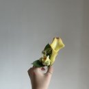 플루이/FLUIE | 서울 인천 웨딩 촬영 결혼식 본식 부케 추천 플루이 플라워스튜디오