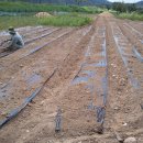 희망찬농장 이미지