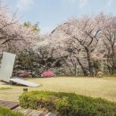 클리더스홀딩스(주) 이미지