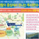 안산스타 이미지