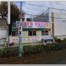 청정산오징어